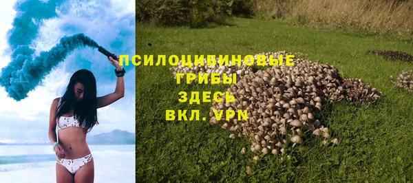 прущие крисы Кодинск