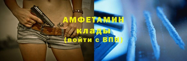 шишки Козельск