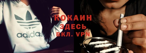 шишки Козельск