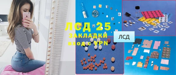 шишки Козельск