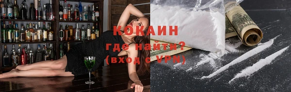 шишки Козельск