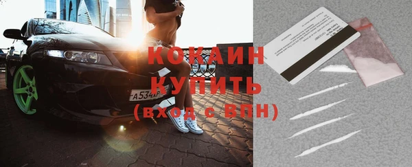 шишки Козельск