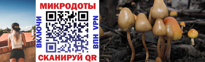 Купить закладки  Верея  Галлюциногенные грибы ЛСД 